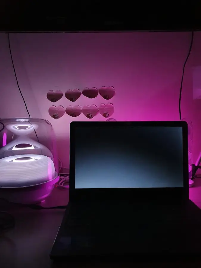 Khách hàng review Loa Bluetooth Harman Kardon SoundSticks 4 2