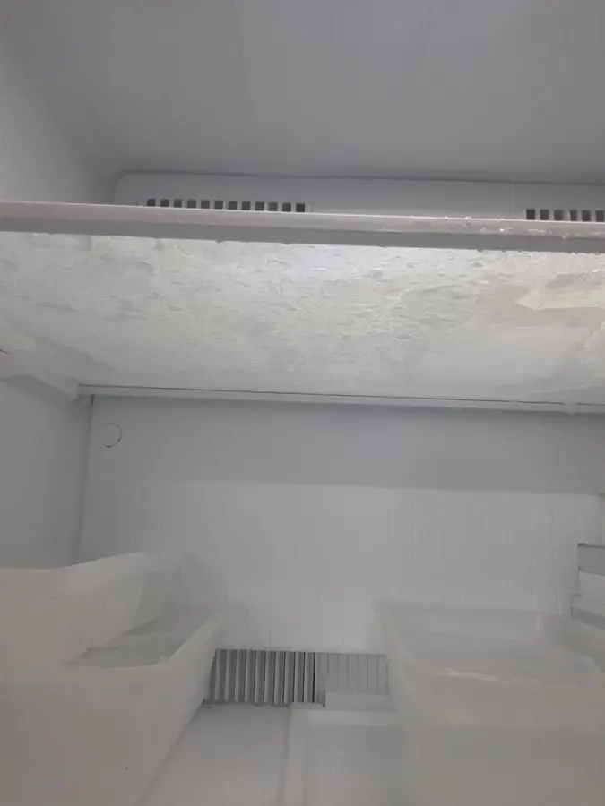 Khách hàng review Tủ lạnh Toshiba Inverter 407 lít GR-RT535WE-PMV(06)-MG 2