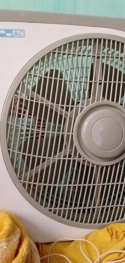 Khách hàng review Quạt hộp AC 5 cánh ABF01A125 40W 5