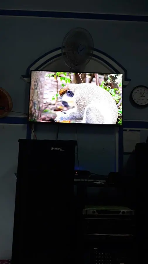 Khách hàng review Smart Tivi LG 4K 50 inch 50UP7750PTB 5