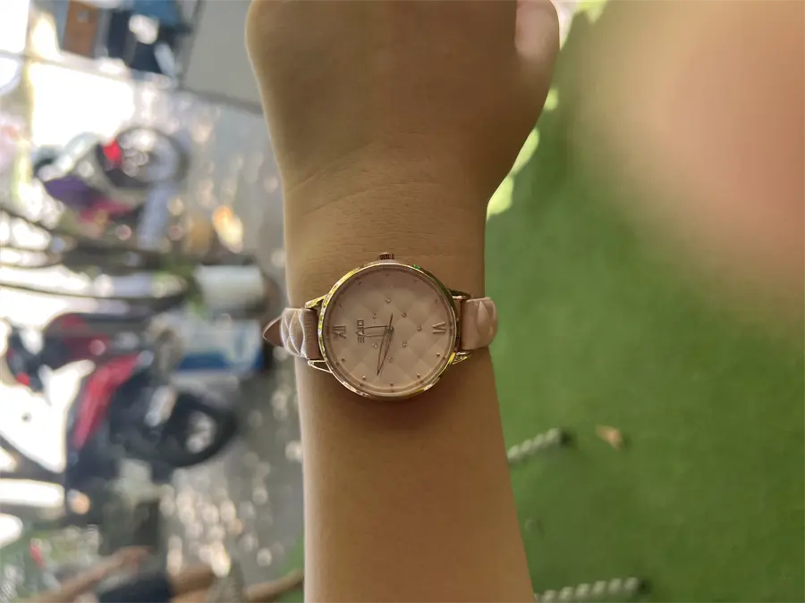 Khách hàng review Đồng hồ ELIO Nắng Xuân 33 mm Nữ EL028-01 2