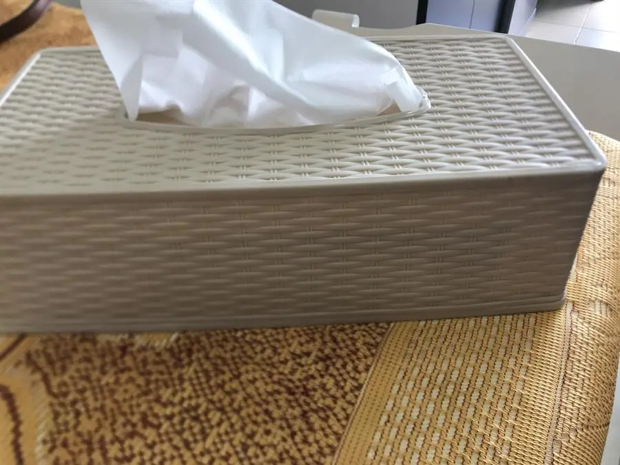 Khách hàng review Hộp đựng giấy nhựa 24.7 x 12.5 x 7.5 cm BHX TN-916092 1