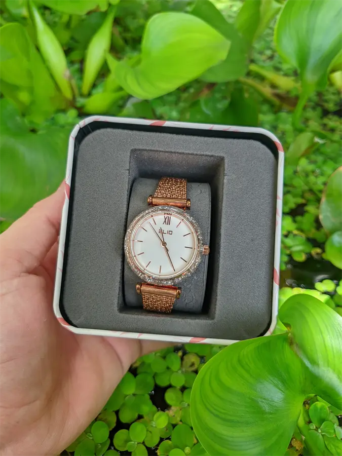 Khách hàng review Đồng hồ ELIO Nàng Thơ 32 mm Nữ ES036-01 4