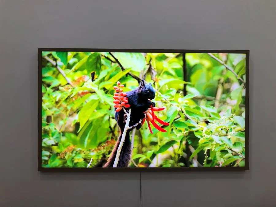 Khách hàng review Smart Tivi Khung Tranh The Frame QLED Samsung 4K 50 inch QA50LS03A 1