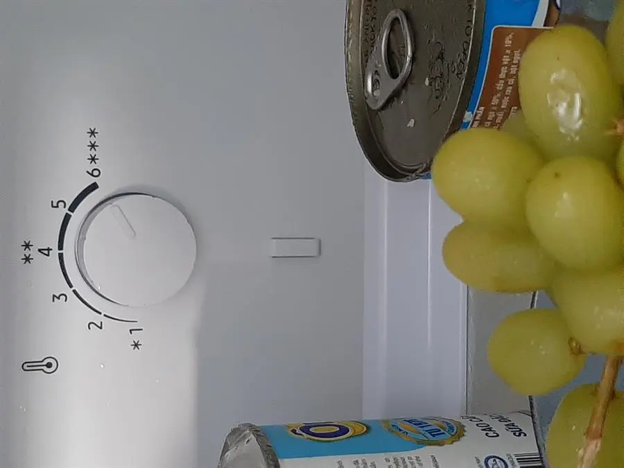 Khách hàng review Tủ lạnh Samsung Inverter 460 lít RT46K603JB1/SV 4