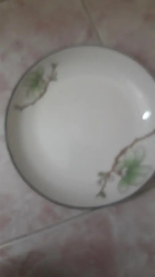 Khách hàng review Dĩa sâu sứ 18.5 cm BHX SJP-102 1