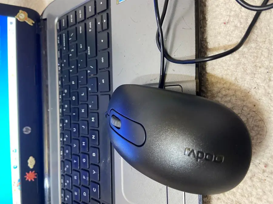 Khách hàng review Chuột Có dây Rapoo N200 4