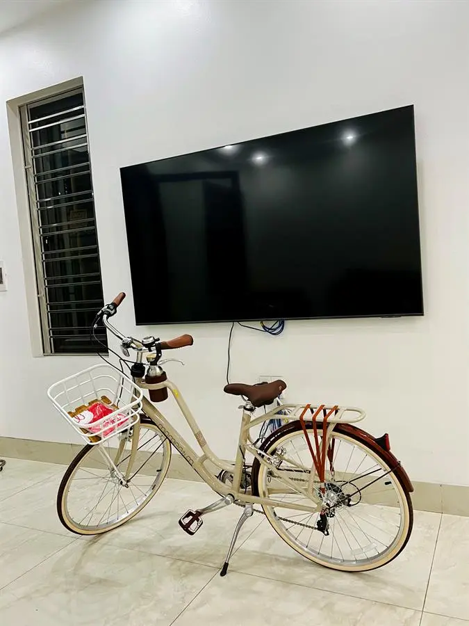 Khách hàng review Xe Đạp Đường Phố Touring Giant Momentum Ineed Latte 26 (2022) 26 inch 1