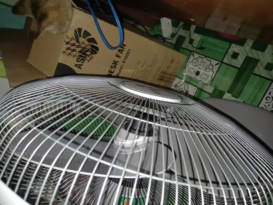 Khách hàng review Quạt bàn Asia 3 cánh B16001-XV1 45W 3