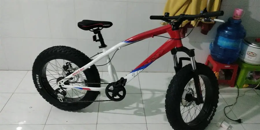 Khách hàng review Xe Đạp Địa Hình MTB Txed Brave Boy 20 20 inch Size XXS 1