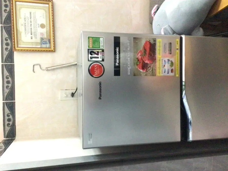 Khách hàng review Tủ lạnh Panasonic Inverter 170 lít NR-BA190PPVN 213