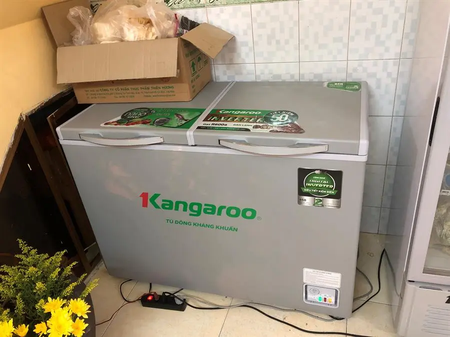 Khách hàng review Tủ đông Kangaroo Inverter 286 lít KGFZ290IC1 1