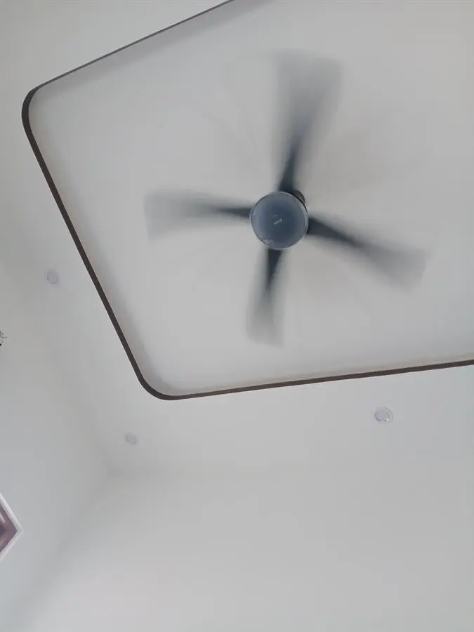 Khách hàng review Quạt trần Mitsubishi Electric 4 cánh C56-RA4 CY-GY 64W 4