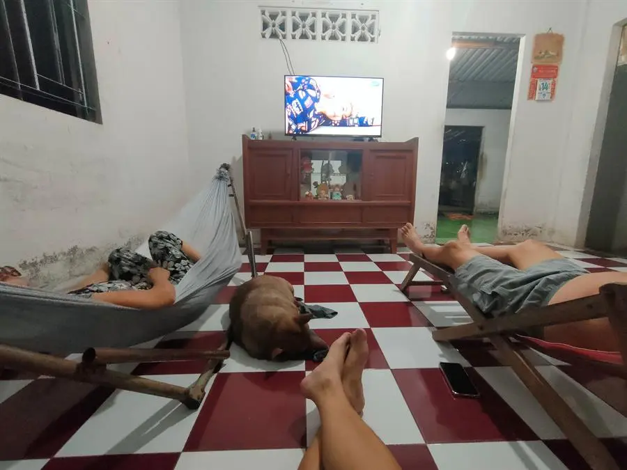 Khách hàng review Android Tivi TCL 40 inch L40S66A 13