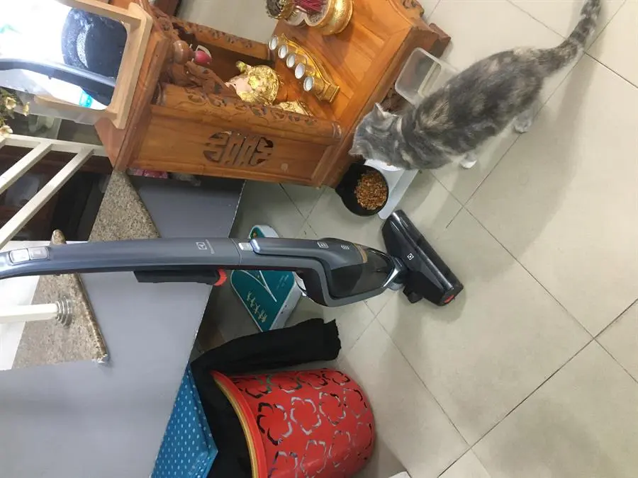 Khách hàng review Máy hút bụi không dây Electrolux ZB3411 1