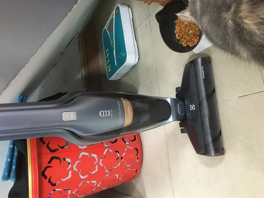 Khách hàng review Máy hút bụi không dây Electrolux ZB3411 3