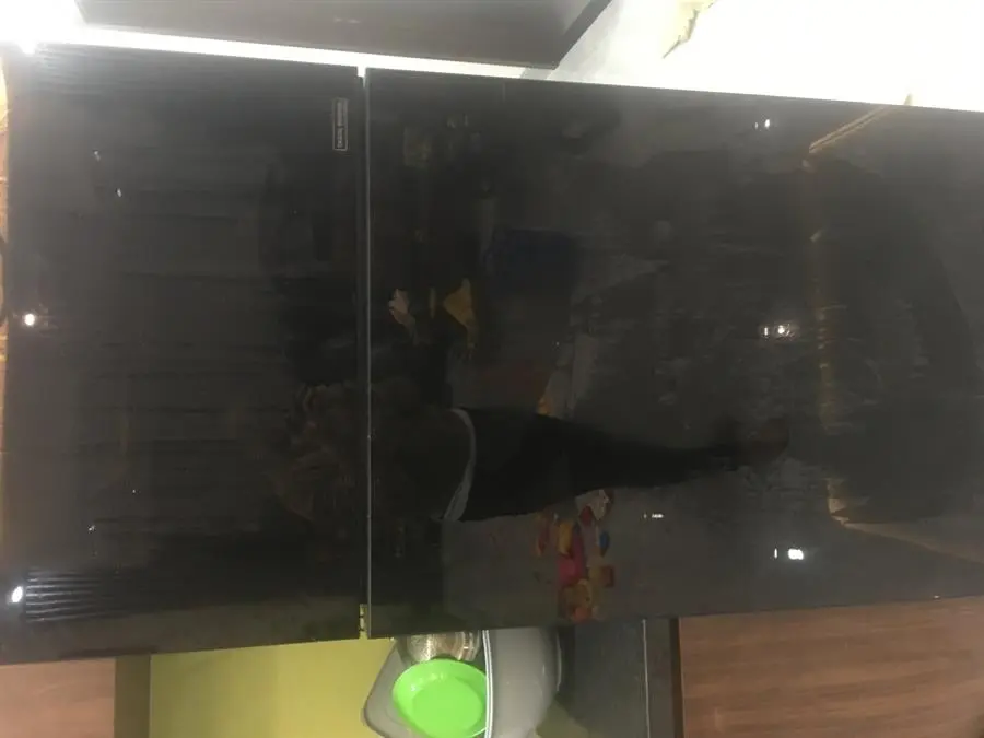 Khách hàng review Tủ lạnh Samsung Inverter 380 lít RT38K50822C/SV 4