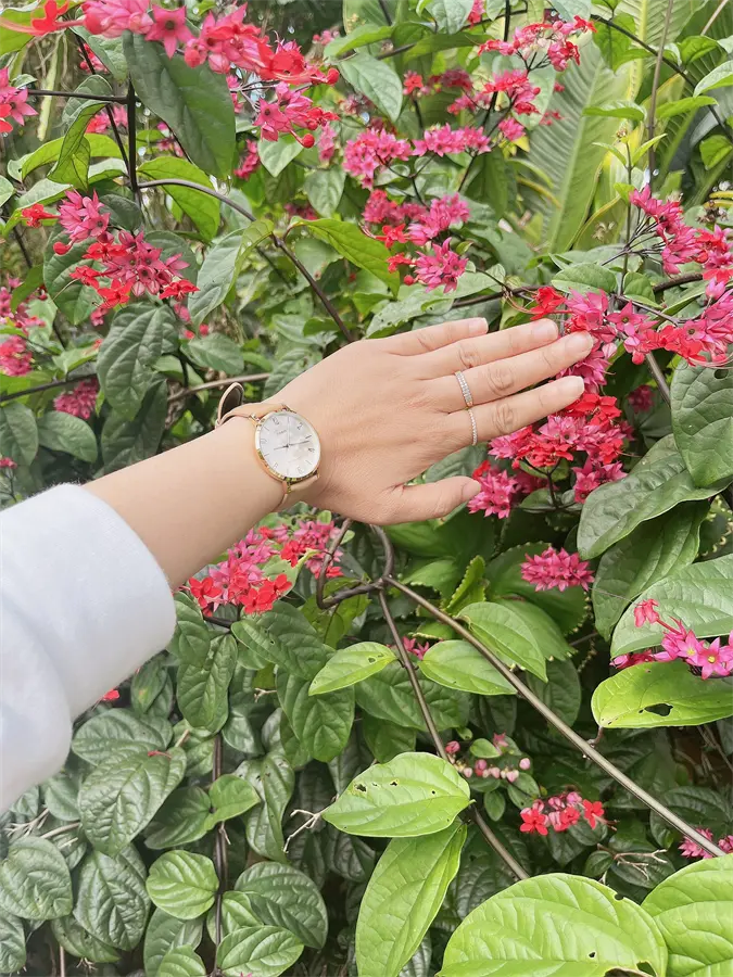 Khách hàng review Đồng hồ CASIO 34 mm Nữ LTP-VT01GL-9B2UDF 2