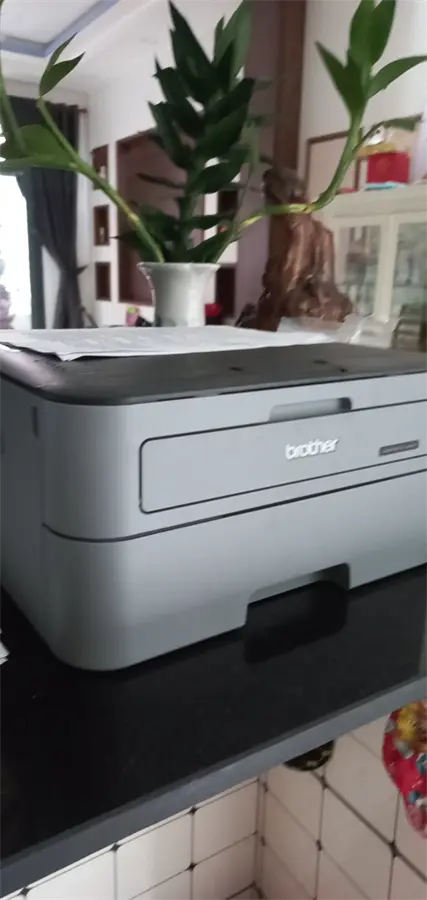 Khách hàng review Máy in laser trắng đen đơn năng Brother HL-L2321D 16