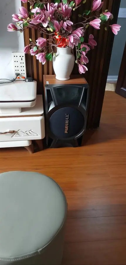 Khách hàng review Cặp loa Karaoke Paramax LX-1200 500W 4