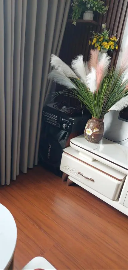 Khách hàng review Cặp loa Karaoke Paramax LX-1200 500W 5