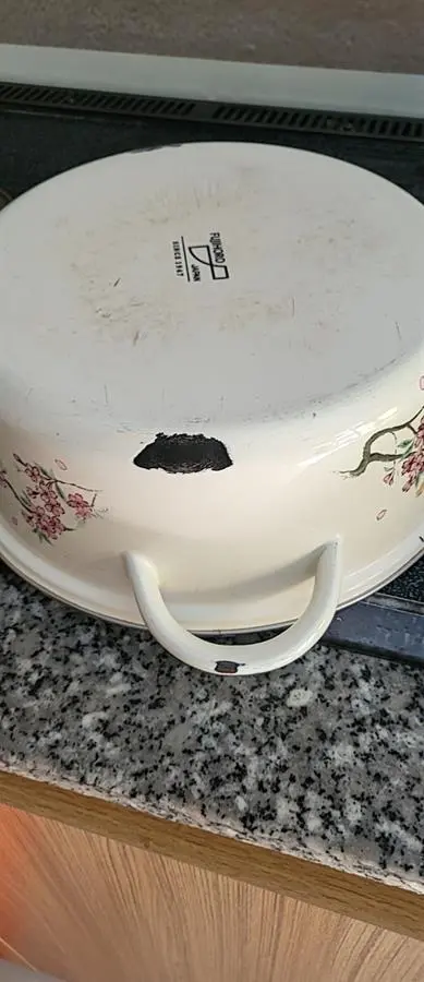 Khách hàng review Nồi thép Nippon tráng men nắp kính 26 cm Fujihoro SKW-32G 2