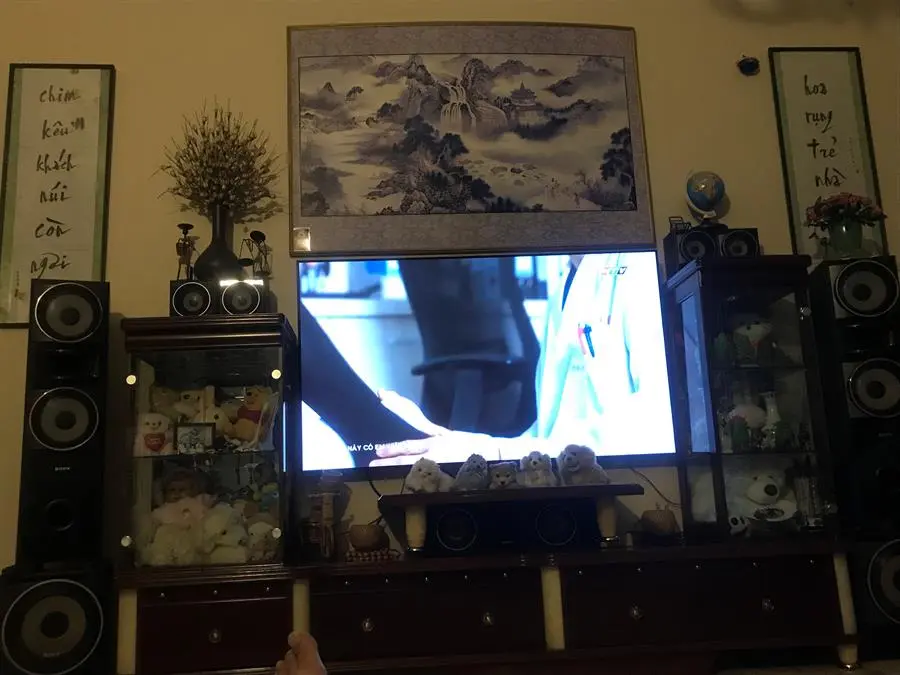 hách hàng review Smart Tivi OLED LG 4K 65 inch 65A1PTA 6