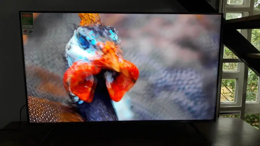 Khách hàng review Google Tivi QLED TCL 4K 43 inch 43Q636 5