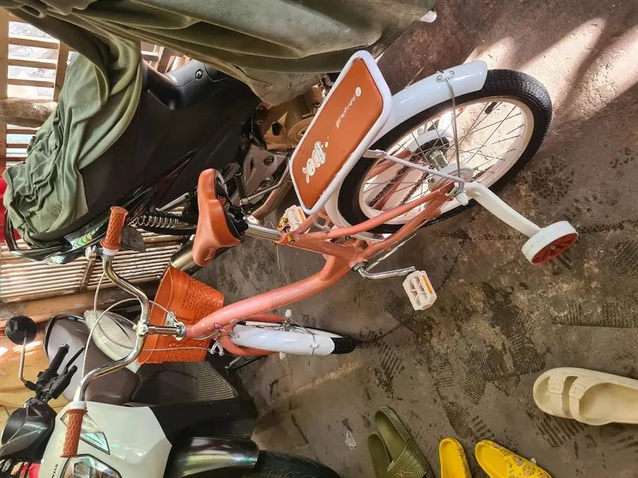 Khách hàng review Xe Đạp Trẻ Em Nữ AVACycle Babe Rabbit 18 inch 4