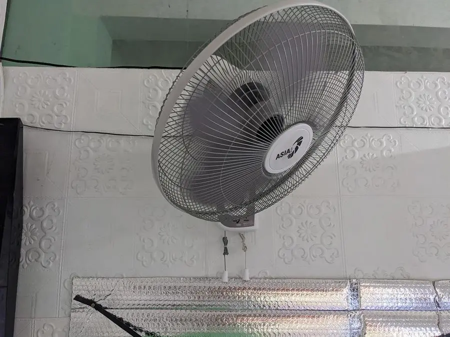 Khách hàng review Quạt treo tường Asia 3 cánh L16018-TV0 45W 1