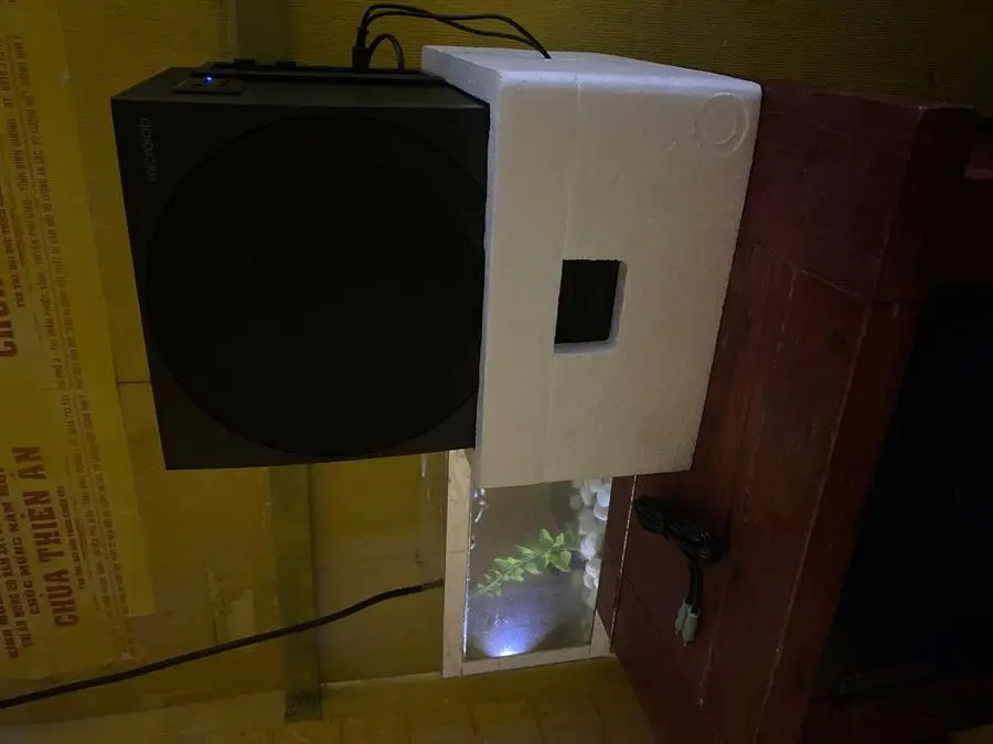 Khách hàng review Loa vi tính Bluetooth Microlab M318BT Đen 1