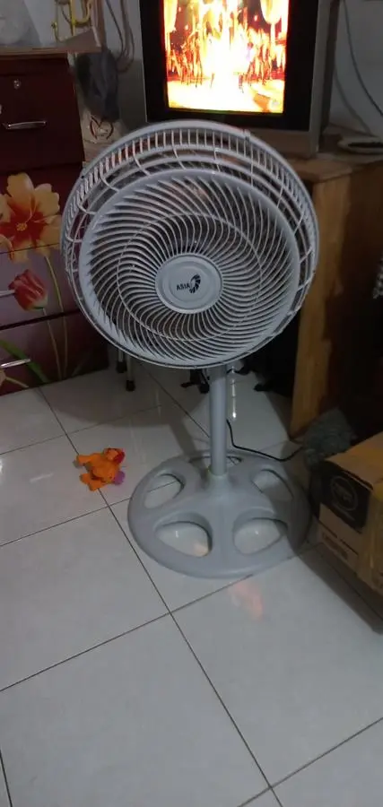 Khách hàng review Quạt đứng Asia 6 cánh VY639990 80W 50