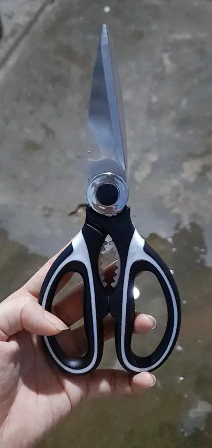 Khách hàng review Kéo nhà bếp đa năng thép không gỉ 2Cr13 Delites LD-9138B 1
