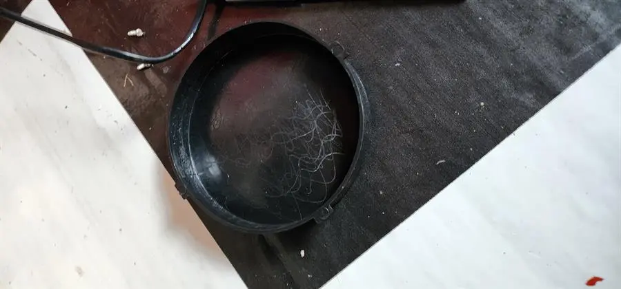 Khách hàng review Đèn bắt muỗi Điện Quang ĐQ EML02 BL 3