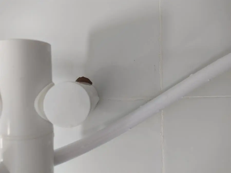 Khách hàng review Máy nước nóng trực tiếp Ariston 4500W AURES PREMIUM 4.5P PEARL 10