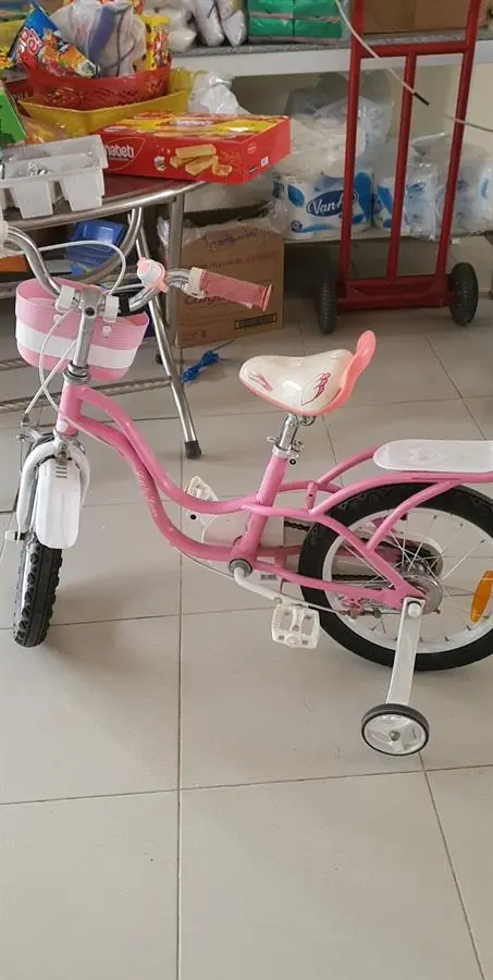 Khách hàng review Xe Đạp Trẻ Em Royal Baby Little Swan RB16-18 16 inch 1