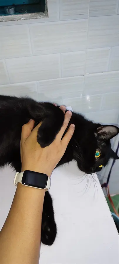 Khách hàng review Vòng đeo tay thông minh Xiaomi Redmi Band 2 18