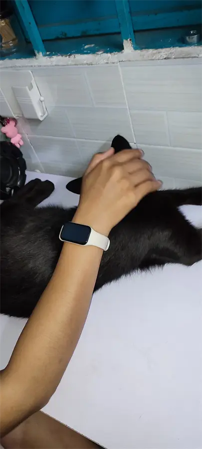 Khách hàng review Vòng đeo tay thông minh Xiaomi Redmi Band 2 16