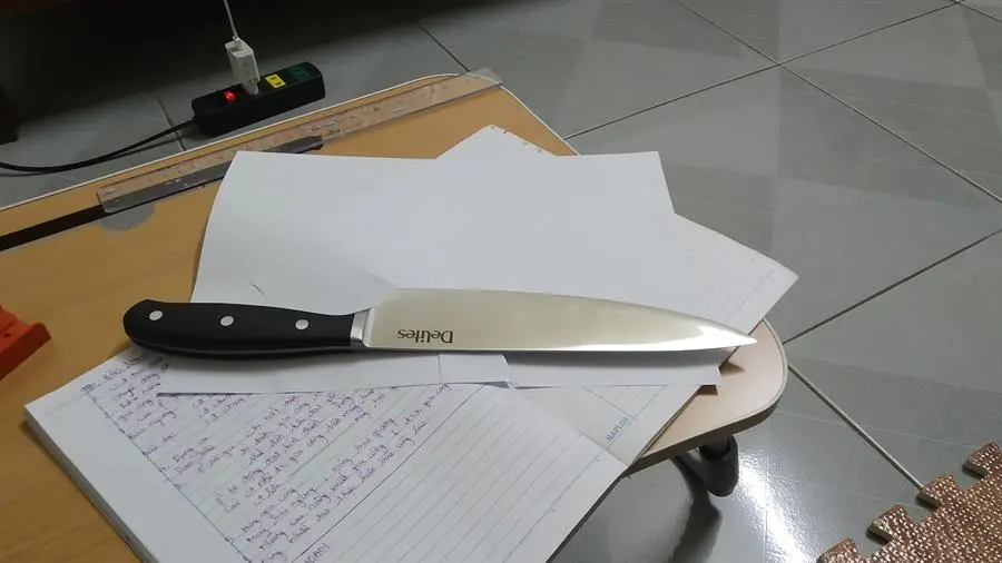Khách hàng review Dao thái inox Delites LK-2207C 3