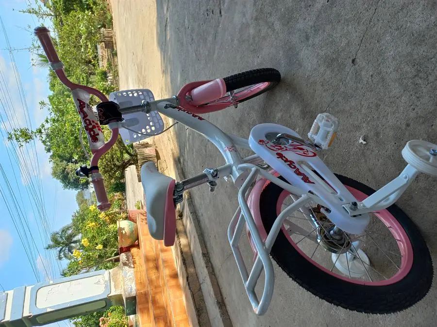 Khách hàng review Xe Đạp Trẻ Em AVACycle Princess JY906-16 16 inch 2