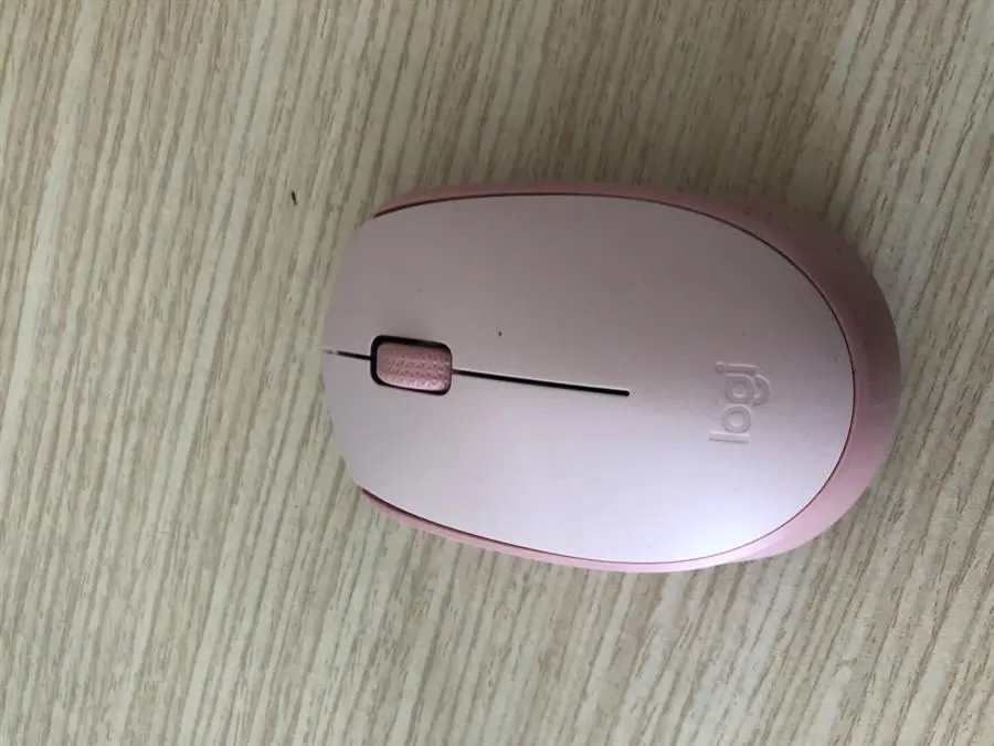 Khách hàng review Chuột Không dây Logitech M171 9