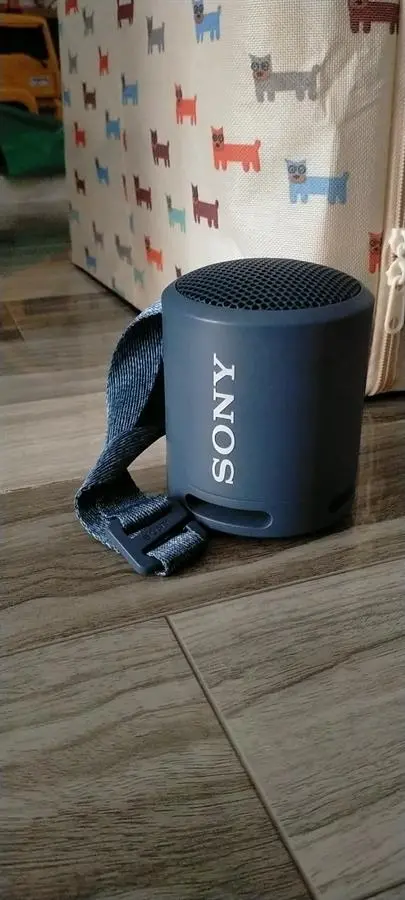 Khách hàng review Loa Bluetooth Sony SRS-XB13 4