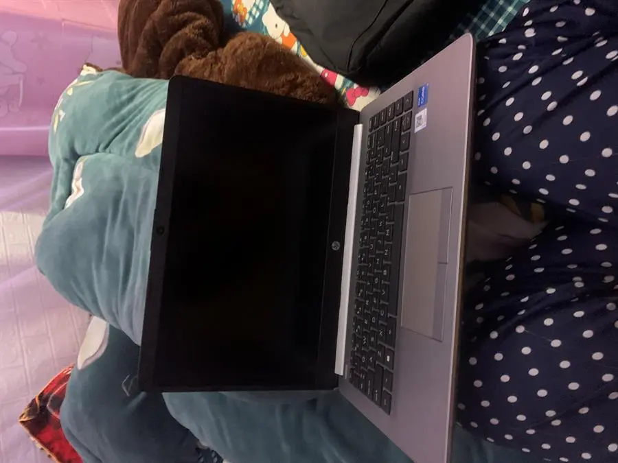 Khách hàng review Laptop HP 240 G8 i3 1115G4/8GB/256GB/Win11 (6L1A1PA) 1
