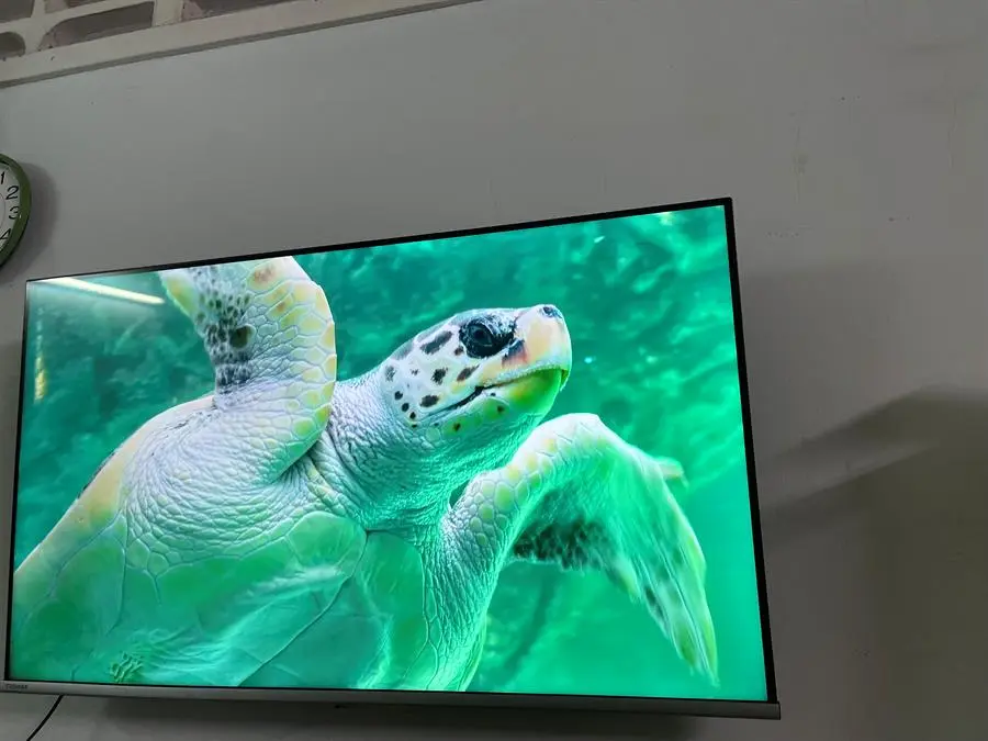 Khách hàng review Google Tivi Toshiba 4K 43 inch 43C350LP 11