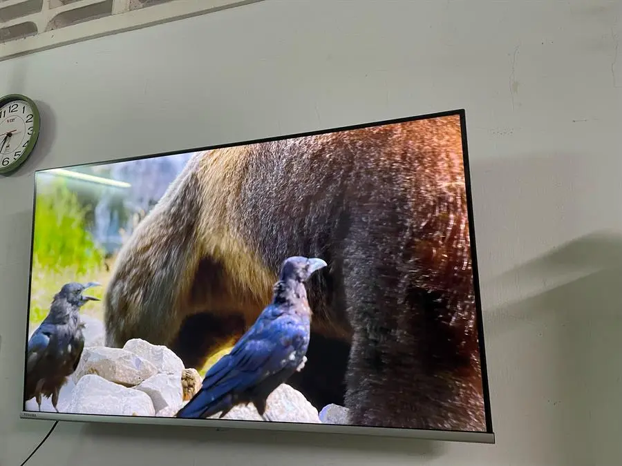 Khách hàng review Google Tivi Toshiba 4K 43 inch 43C350LP 9