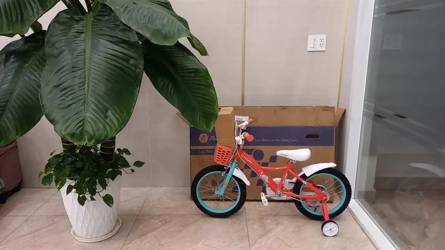 Khách hàng review Xe Đạp Trẻ Em AVACycle Fire Phoenix JY904-16 16 inch 1