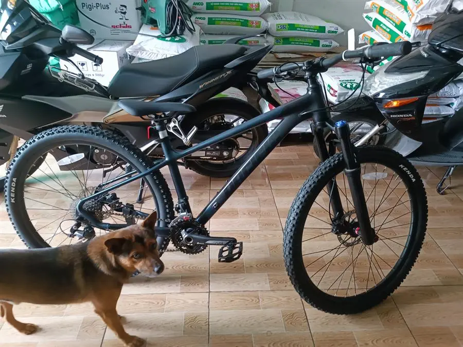 Khách hàng review Xe Đạp Địa Hình MTB Pacific Carmeron 6.0 27.5 inch 3