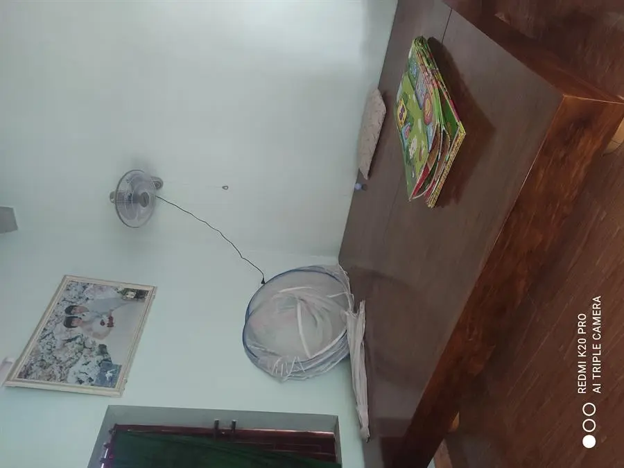 Khách hàng review Quạt treo tường Senko 3 cánh T1680 47W 10