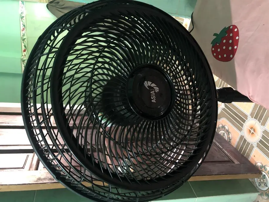 Khách hàng review Quạt đứng Asia 5 cánh VY619990 55W 12
