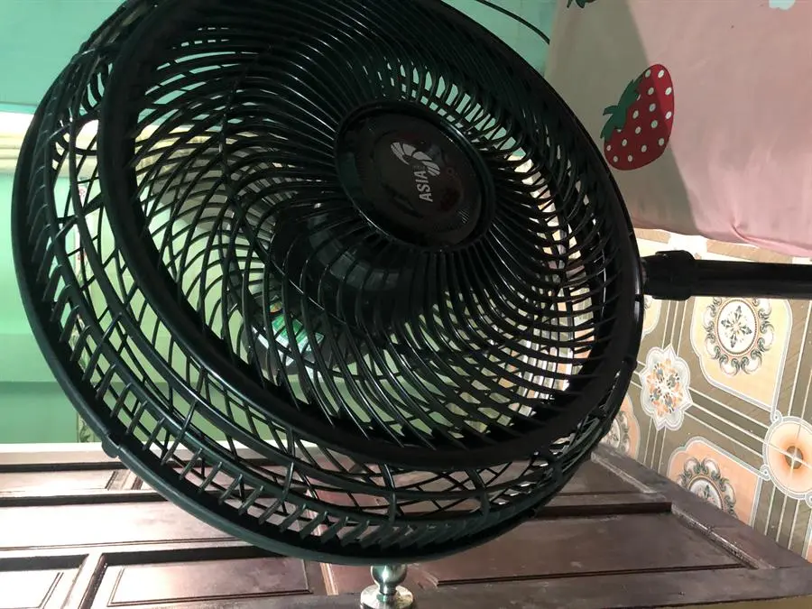 Khách hàng review Quạt đứng Asia 5 cánh VY619990 55W 11